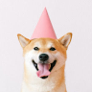 Meet your Posher, Stephen